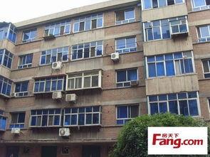 石家庄公寓爆料最新消息,揭秘神秘项目背后的真相